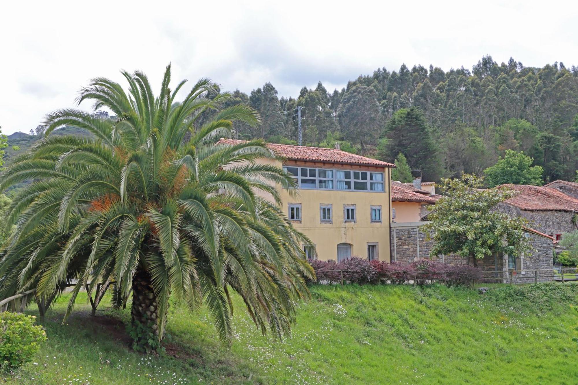 Hotel El Babu Caravia Extérieur photo