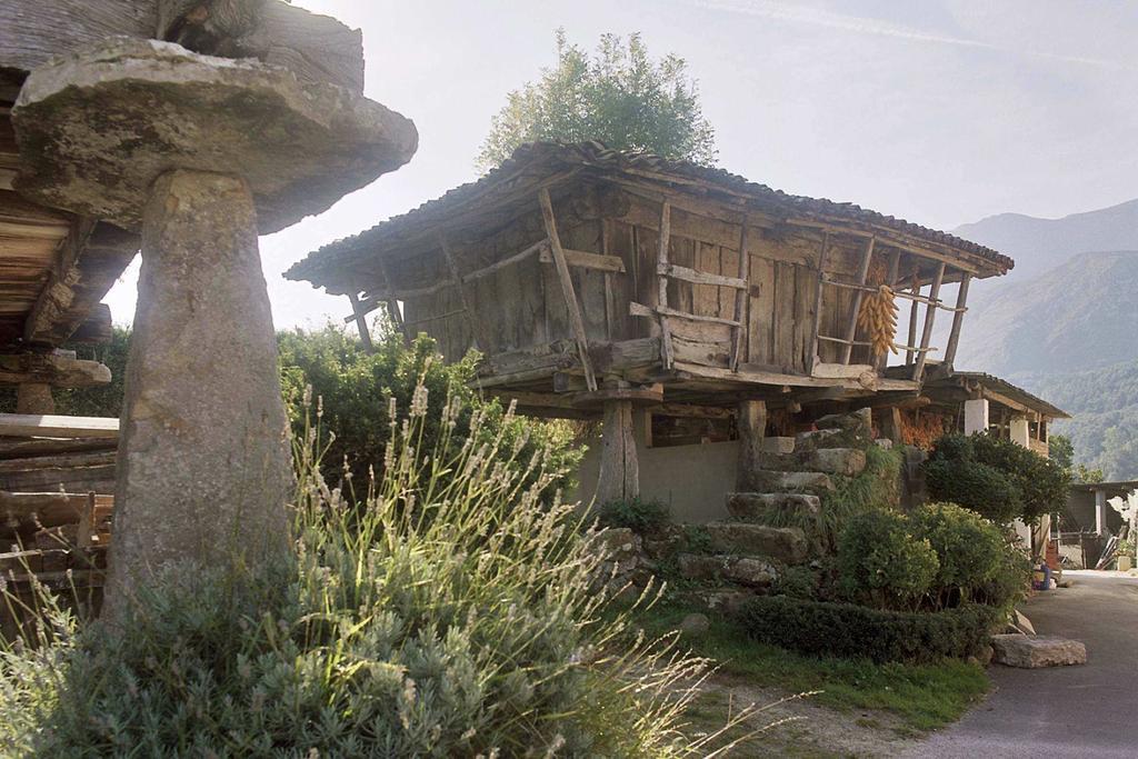 Hotel El Babu Caravia Extérieur photo